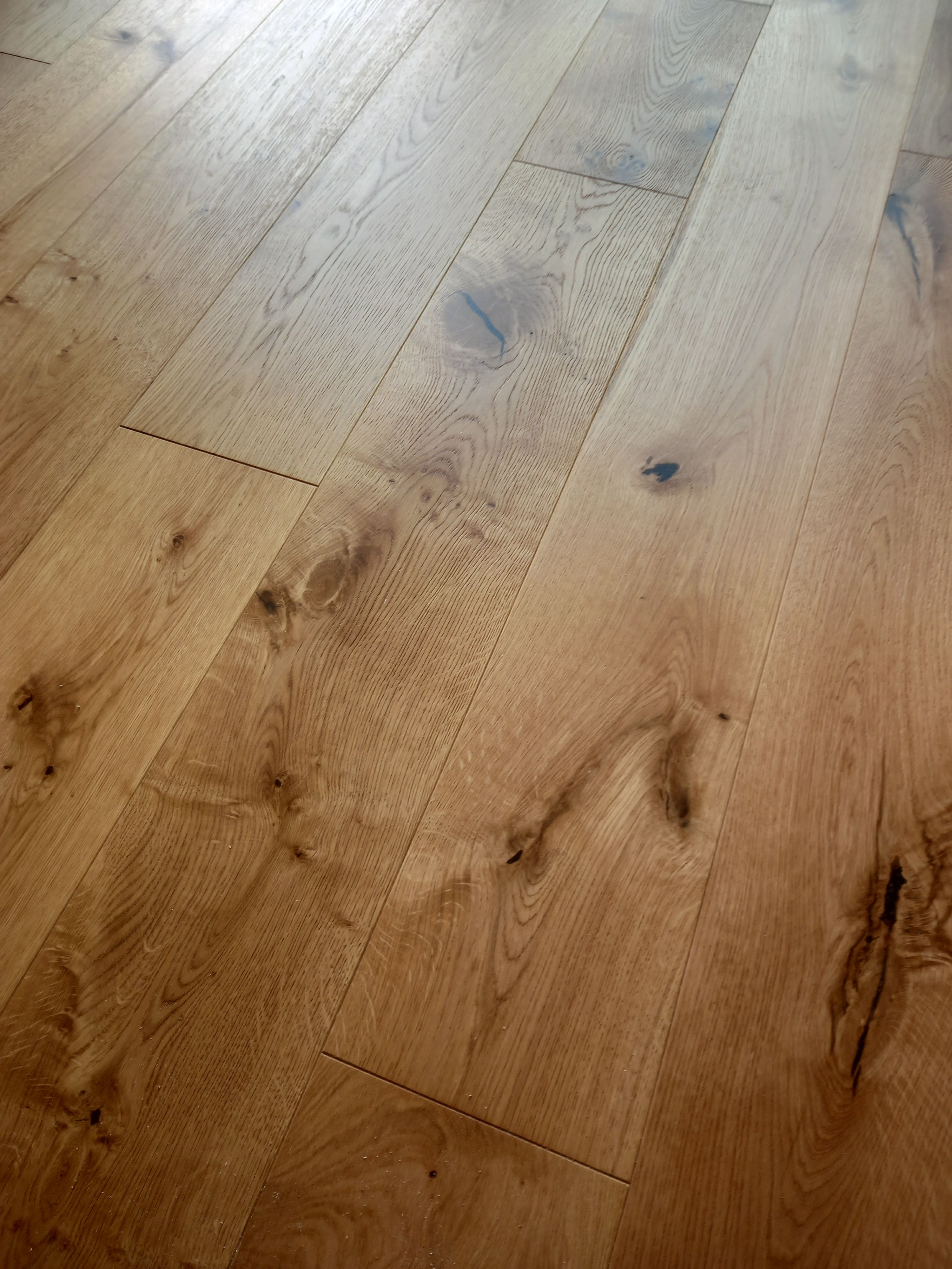 Shining Floor