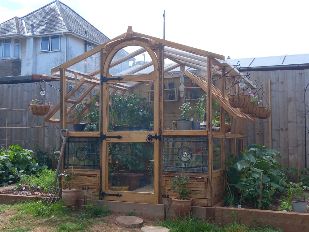 A trellis made from the old shed frame